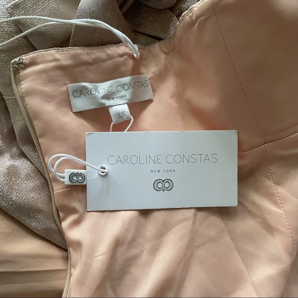 Silk Caroline Constas Dress - Picture 7 of 9